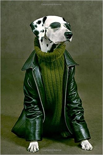 dog leather jacket amazon