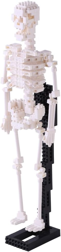 Nanoblock Human Skeleton Building Kit