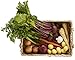 Farmers Market 