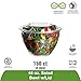 Eco-Products, Inc Renewable & Compostable Salad Bowls, 48 oz Bowl with Lid, Case of 150 (EP-SB48), Clear