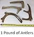Antler Man Premium Deer Antler Pieces - Dog Chews - Sold by The Pound