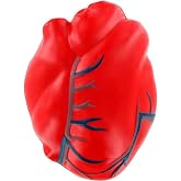 ARIEL Heart with Veins Stress Toy