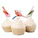 BETOP HOUSE Set of 24 Pieces Little Bird Garden Themed Cupcake Topper Picks for Baby Shower Birthday Party