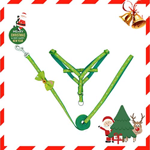 Pettorina Cane con Guinzaglio di Nylon, Durevole Regolabile Imbracatura per Cani, Guinzaglio per Portare il Cane a Passeggio, Verde