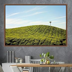 signwin Framed Canvas Wall Art Greenlands Aerial Dark...