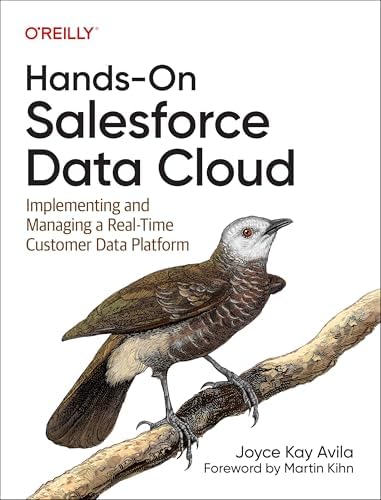 Practical Salesforce Agentforce Playbook: Design, build, and
