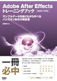 Adobe After Effects トレーニングブック サンプルデータを触りながら学べるハンズオン形式の解説書