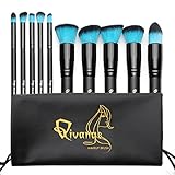 Qivange Makeup Brushes, Premium Synthetic Kabuki Foundation Eyeshadow Blush Concealer Powder Brush Kit + Pouch ( 10pcs, Black with Blue Hair)