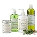 Stonewall Kitchen Herbes De Provence Hand Soap, 16.9 Ounce