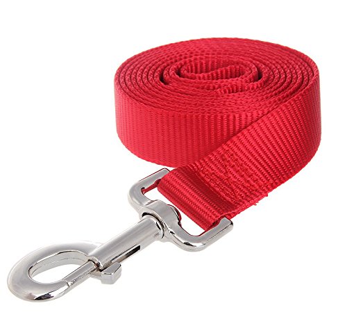 Accod Dog Training Lead Leash Pet Rope Pet Portable Soft Traction Rope Basic Nylon Lead for Small Medium and Large Dogs with Stainless Steel Buckle 2M x 2CM (Red)