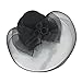 Valdler Elegant Women Lady Girls Feather Net and Veil Fascinator Hair Clip Hat Hair Accessories Clip (Black)