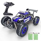 RC Car, SPESXFUN Newest 2.4 Ghz High Speed Remote Control Car 1/16 Scale Off Road RC Trucks with Two Rechargeable Batteries, Racing Toy Car for All Adults & Kids(Blue)