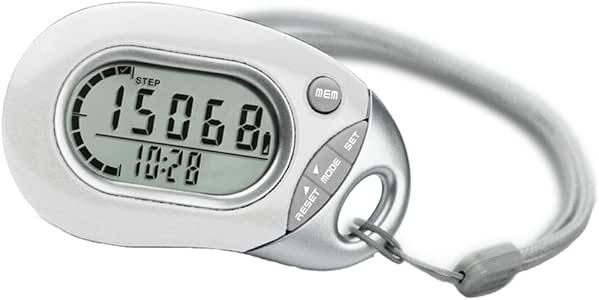 pedometer that counts miles