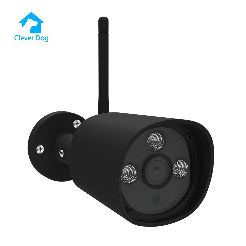 clever dog outdoor cctv camera