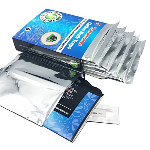 Clothes Moth Traps with Pheromone Attractant, Non-Toxic Odor-Free Safe able to use in Closet Rooms and Wardrobe (6 Traps)