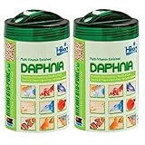 Hikari Bio-Pure Freeze Dried Daphnia for Pets, 0.42-Ounce (2-Pack)