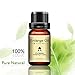 Tidodo Lanthome Herbal Massage Oil Essential Oil Serum Oil