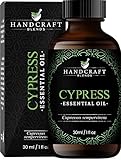 Handcraft Blends Cypress Essential Oil – 1 Fl Oz