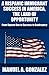 A Hispanic Immigrant Success in America, the Land of Opportunity: From Square One to Success to Bank by