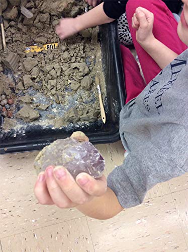 Fossil Mineral Gemstone Excavation Dino Dig Kit - 200+ Real Specimens - Thumbnail 5