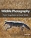 Wildlife Photography: From Snapshots to Great Shots