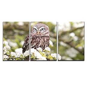 3 Piece Canvas Wall Art - Owl Stand on Flowers - Modern Home Art Stretched and Framed Ready to Hang - 16"x24"x3 Panels