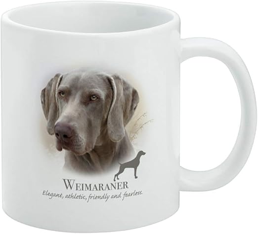 white weimaraner