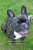 2019 2020 French Bulldog Pocket Planner: Two Years Calendar; Small Mini Monthly Journal With Address Book & Notes Section; Purse Notebook With Inspirational Quotes To Put Personal Goals by ZenWerkz
