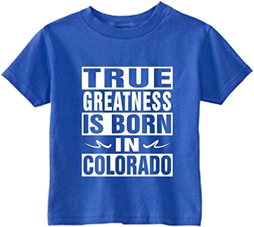 Funny Baby T-Shirt Size 2T (True Greatness Is Born In Colorado) Toddler Tee Shirt