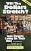 Will the Dollars Stretch?: Teen Parents Living on Their Own (Teen Pregnancy and Parenting series) by Sudie Pollock  MA