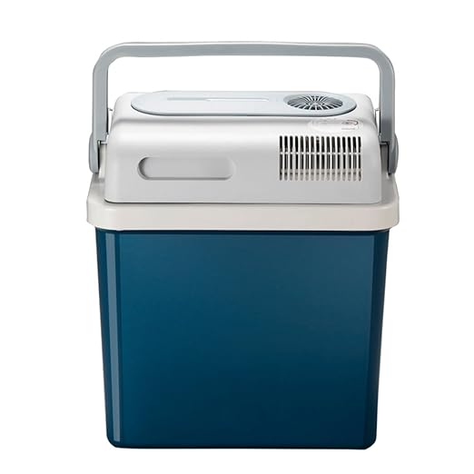 Compra SL&BX Nevera portátil coche, Mini nevera doble ...