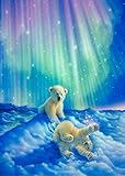 5D DIY Diamond Embroidery Painting Cross Stitch Home Wall Decor Craft (Bears)