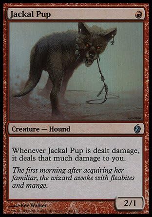 Bebe Chacal Mrm English Foil 4x Jackal Pup Mtg Fire L Mtg Individual Cards Magic The Gathering