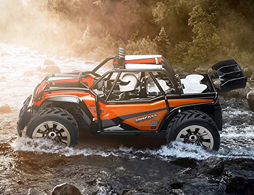 XINBAOHONG RC Car 1:16 Scale Electric Off Road Vehicle 2.4GHz Radio Remote Control Car 2W High Speed Racing Monster Truck Hobby Rock Crawler Toy (Orange)