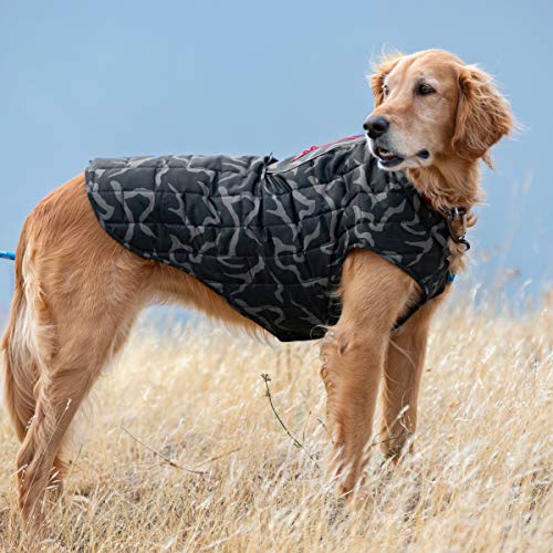 Kurgo Dog Jacket, Reversible Winter Jacket for Dogs, Pet Coat for