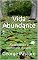 Livro Vida Abundante: Alcançando a plenitude da vida (Coleção Riqueza & Felicidade - 7 livros)