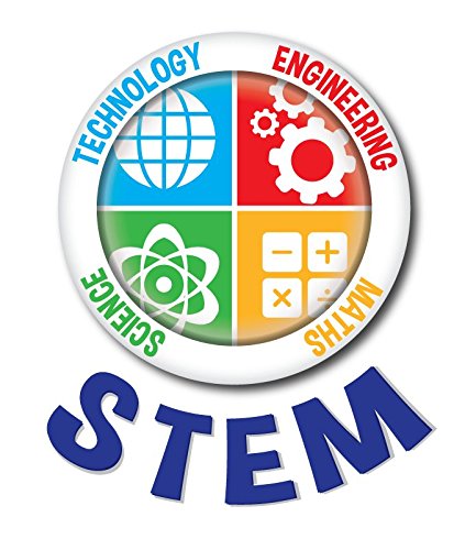 4 Science4you+Excavation+Stegosauros+Educational+Science