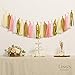 Ling's moment 20 PCS Tassel Garland Banner Tissue Paper Tassels for Wedding Baby Shower Event & Party Supplies DIY Kits - (Pink+Metallic Gold+Ivory+White+Tan)