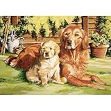 Reeves Large Acrylic Painting By Numbers - Dog World