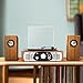 1byone Belt-Drive 3-Speed Stereo Turntable with Built in Speakers, Natural Wood