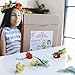 Seedling Disney's Beauty and The Beast Design Your Own Enchanted Flower Rose Crown Activity Kit