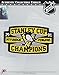 1991 NHL Stanley Cup Champions Jersey Patch Pittsburgh Penguins