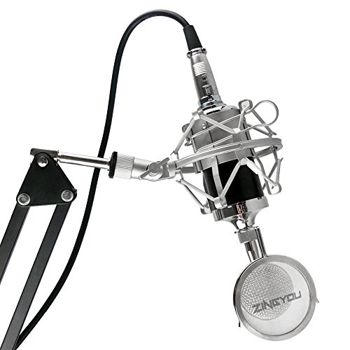 ZINGYOU BM8000 Professional Studio Condenser Microphone Set, XLR