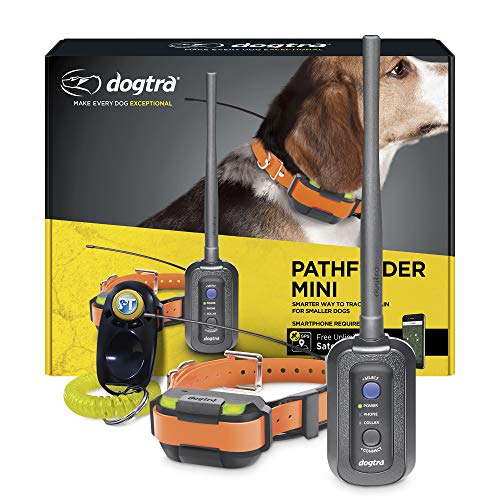 dogtra pathfinder test