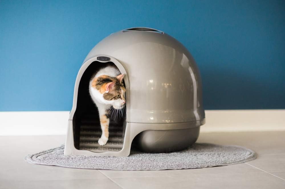 Petmate Booda Dome Clean Step Cat Litter Box 3 Colors, Brushed Nickel: Pet Supplies