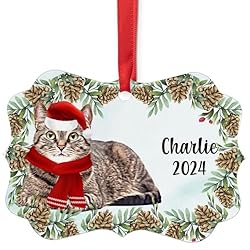 Classic Tabby Cat Christmas Ornament 2024