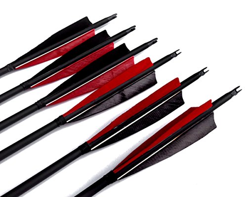 Best-selling Black Archery 31