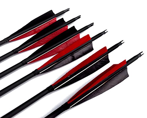 UPC 711717888507, Best-selling Black Archery 31&quot; Carbon Fiber Hunting/Targeting Arrows Fletching 5&quot; Black &amp; Red Peltate Shape True Feathers With Replacement Screw-in Field Points (12 Pack)