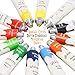 Complete Acrylic Paint Set by Glokers – 36 Piece Professional Painting Supplies Set, Includes Mini Easel, 6 Canvases, Paint Tray, Painting Knives, 10 Paintbrushes and More for Artists