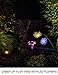 BRIGHT ZEAL [Set of 3] LED Color Changing Solar Stake Lights Outdoor (Dandelion, Lily, Sunflower) - Solar Light LED Garden Decor Statues - Patio Lights LED Outdoor Multicolor Changing LED Lights